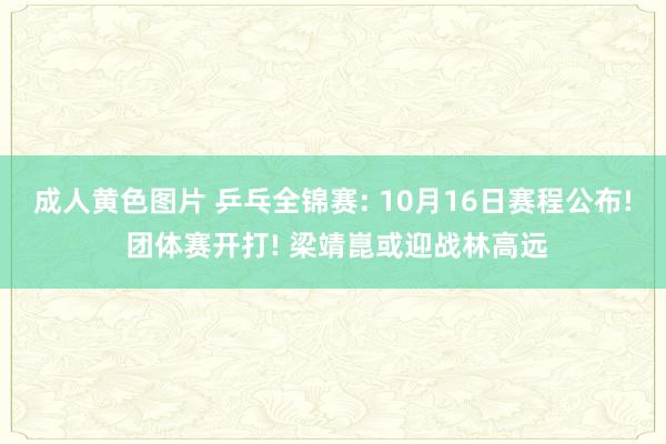 成人黄色图片 乒乓全锦赛: 10月16日赛程公布! 团体赛开打! 梁靖崑或迎战林高远