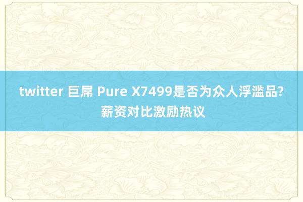 twitter 巨屌 Pure X7499是否为众人浮滥品? 薪资对比激励热议