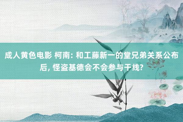 成人黄色电影 柯南: 和工藤新一的堂兄弟关系公布后， 怪盗基德会不会参与干线?